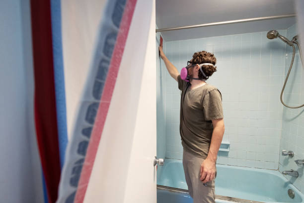 Best Emergency Mold Remediation  in Cumberland Head, NY
